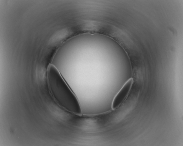 X0000114510692200910191133