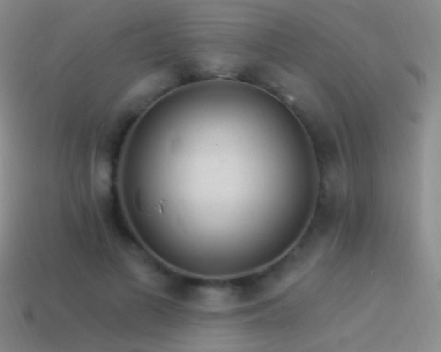 X0000114510693200910191133