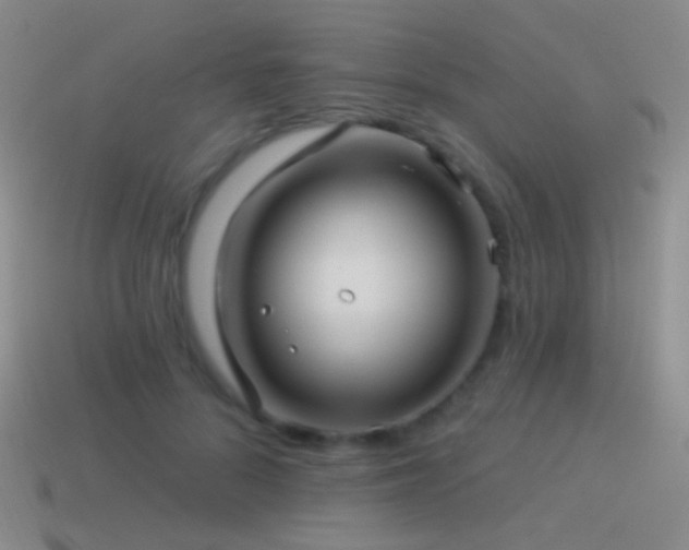 X0000114510696200910191133