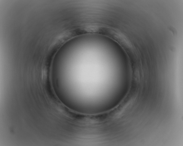 X0000114510697200910191133