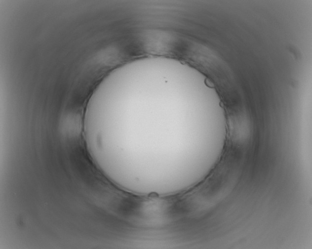 X0000114510705200910191133