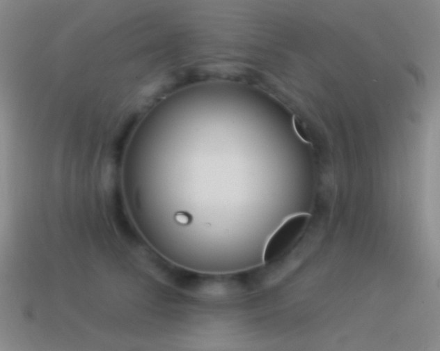 X0000114510708200910191133