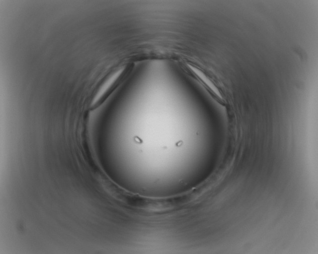 X0000114510709200910191133