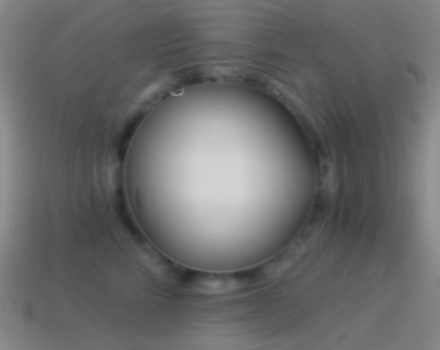 X0000114510712200910191133