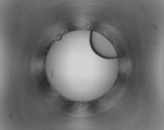 X0000114510713200910191133