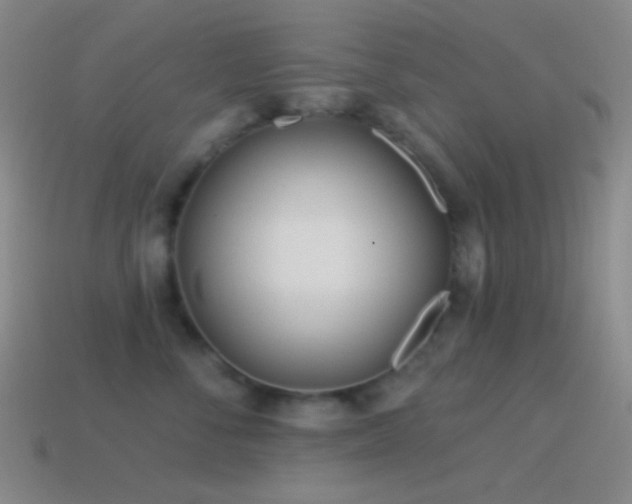 X0000114510716200910191133