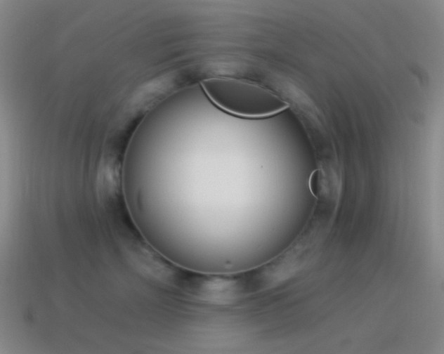 X0000114510718200910191132