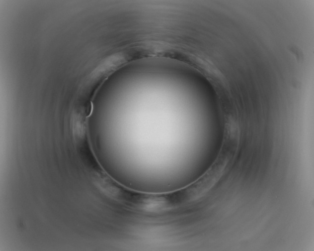 X0000114510719200910191132