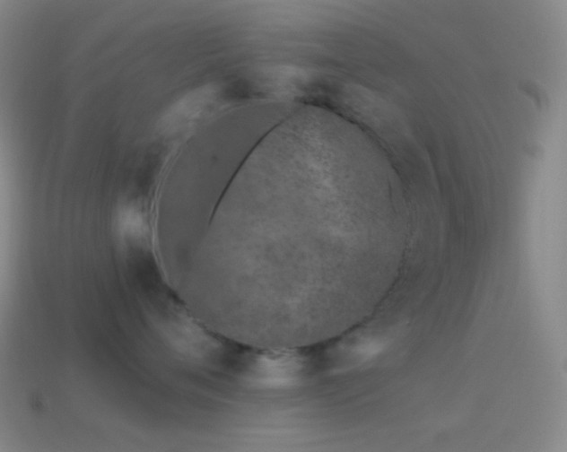 X0000114510720200910191132