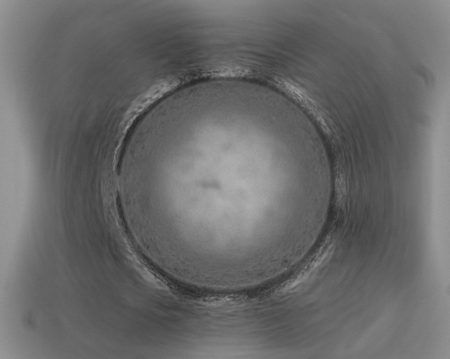 X0000114510721200910191132