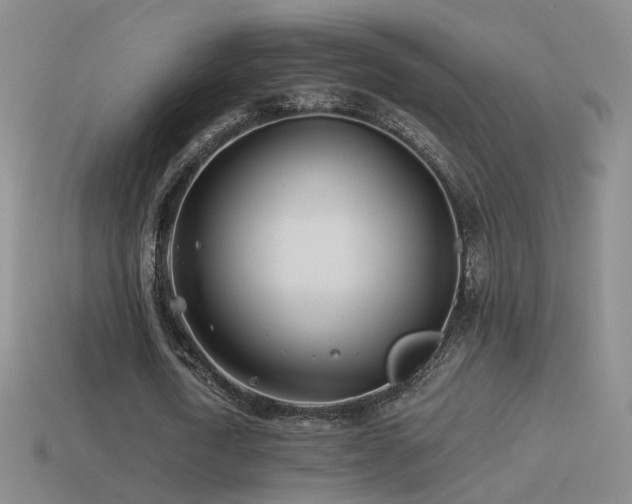 X0000114510722200910191132