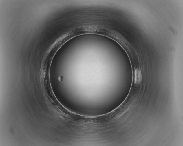 X0000114510723200910191132