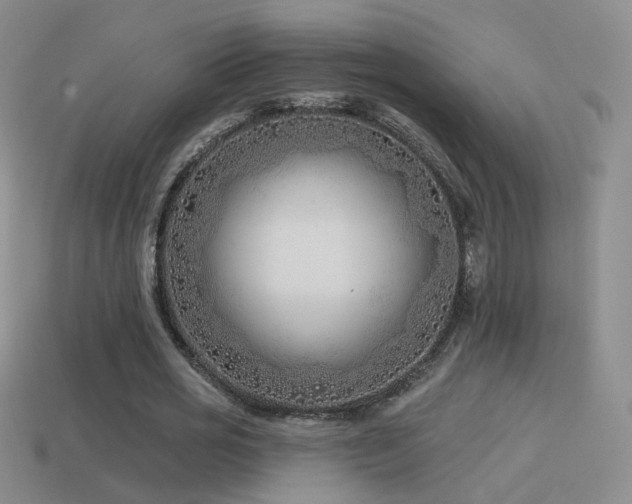 X0000114510725200910191132