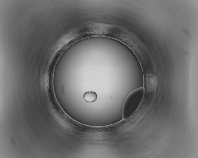 X0000114510726200910191132