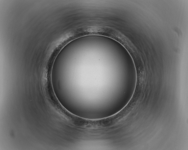 X0000114510727200910191132