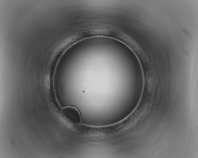 X0000114510729200910191132