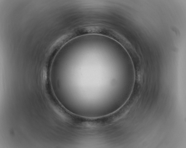 X0000114510733200910191132