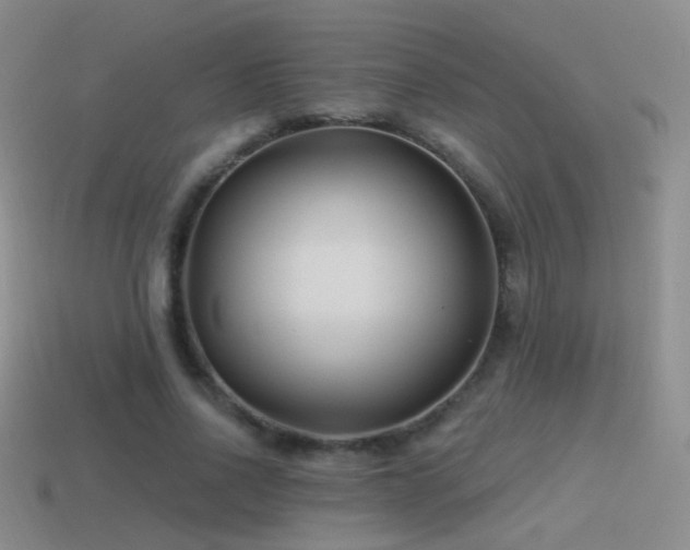 X0000114510734200910191132