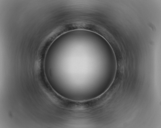 X0000114510735200910191132