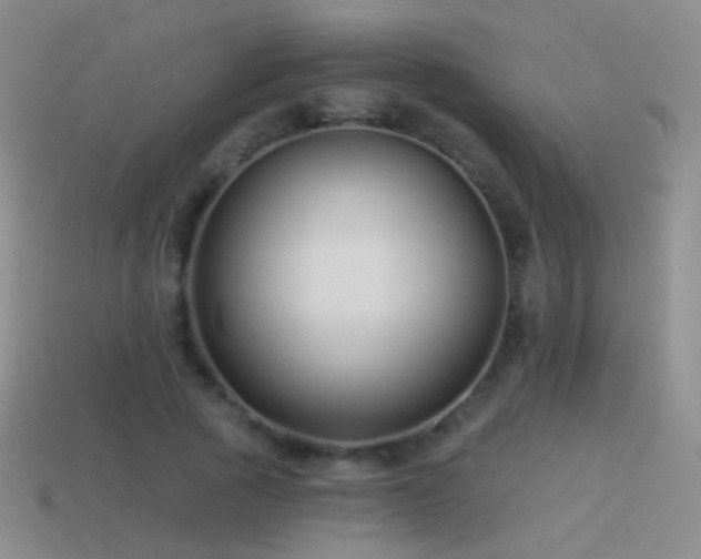 X0000114510737200910191132