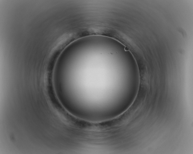 X0000114510738200910191132