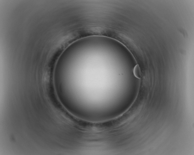 X0000114510739200910191132