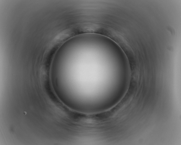 X0000114510743200910191132