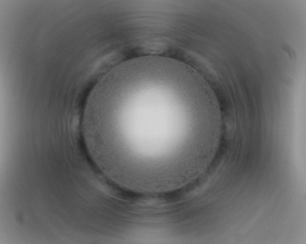 X0000114510745200910191132