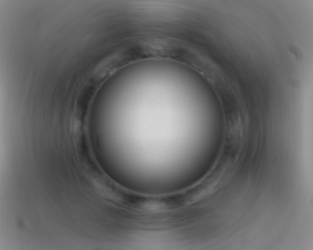 X0000114510749200910191132