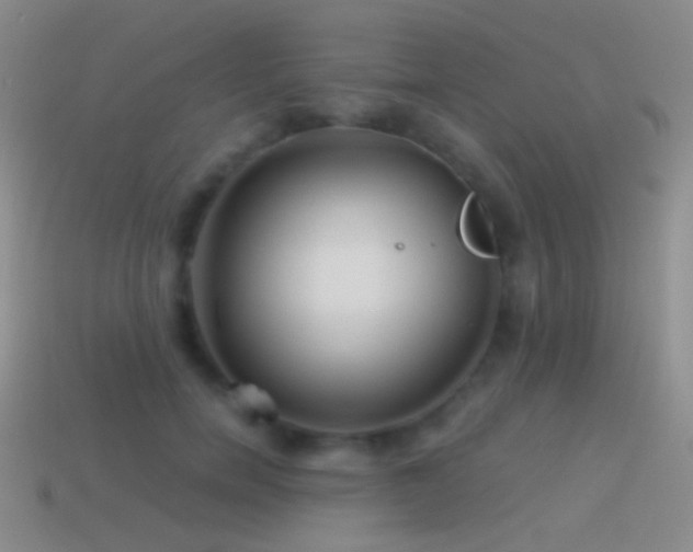 X0000114510750200910191132