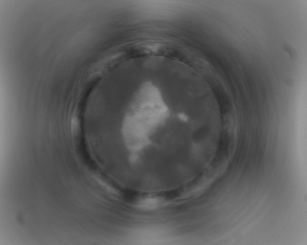 X0000114510754200910191132