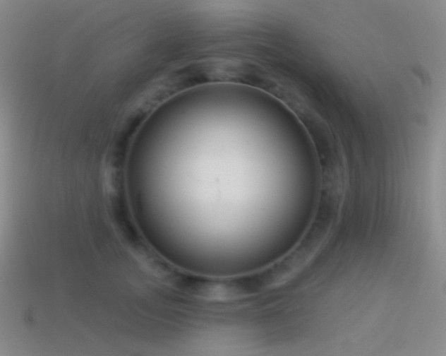 X0000114510755200910191132