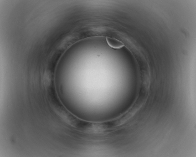 X0000114510758200910191132