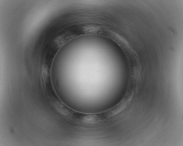 X0000114510761200910191132