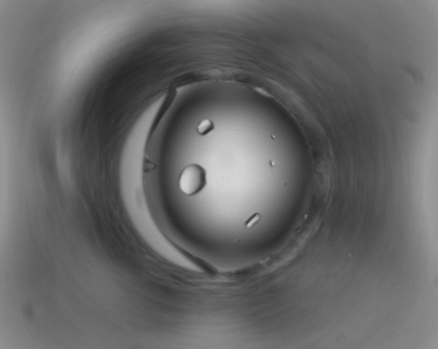 X0000114510762200910191132