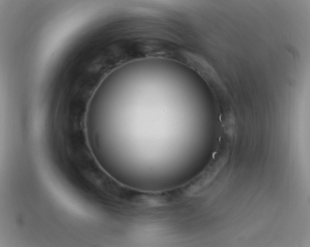 X0000114510763200910191132