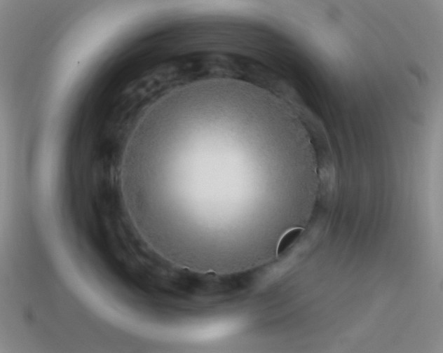 X0000114510765200910191132