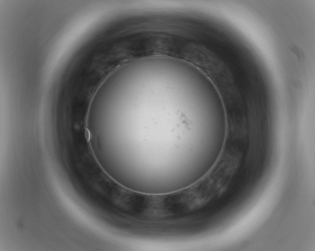 X0000114510766200910191132