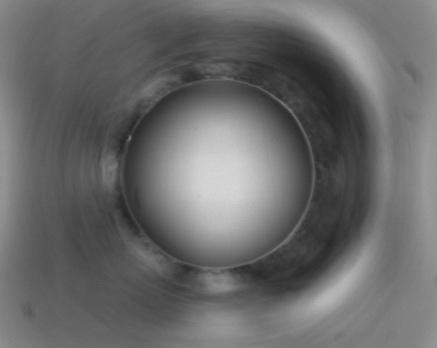 X0000114510767200910191132