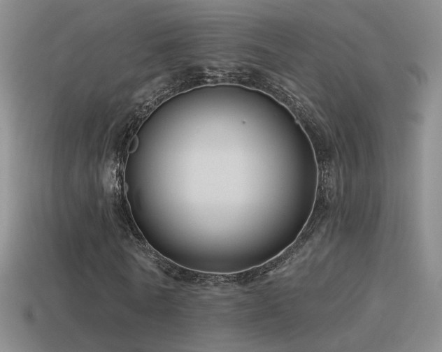 X0000114510770200910191132