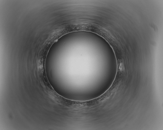 X0000114510771200910191132