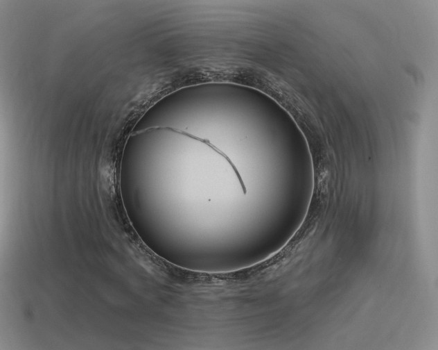 X0000114510772200910191132