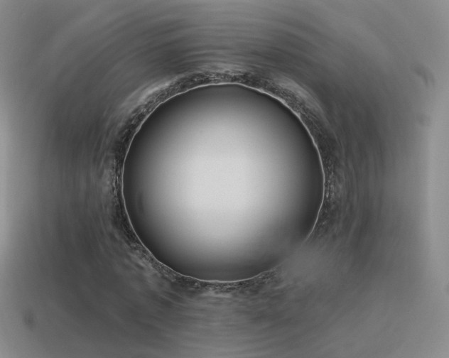 X0000114510773200910191132