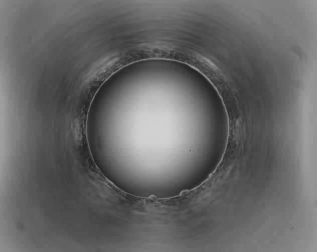 X0000114510774200910191132