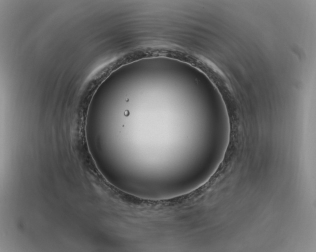 X0000114510775200910191132