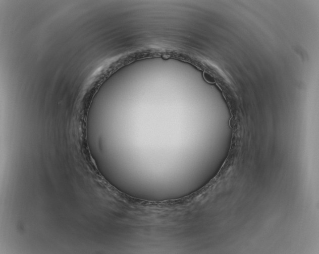 X0000114510776200910191132