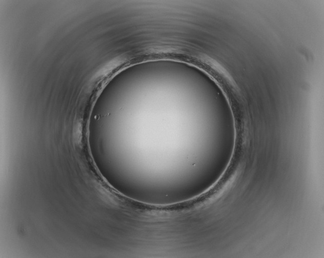 X0000114510777200910191132