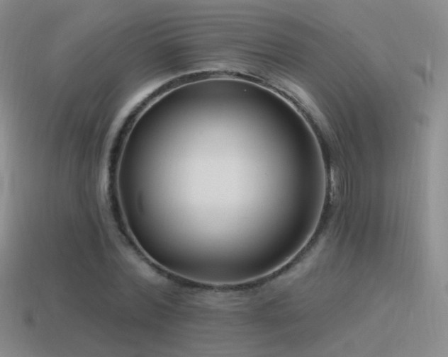 X0000114510780200910191132