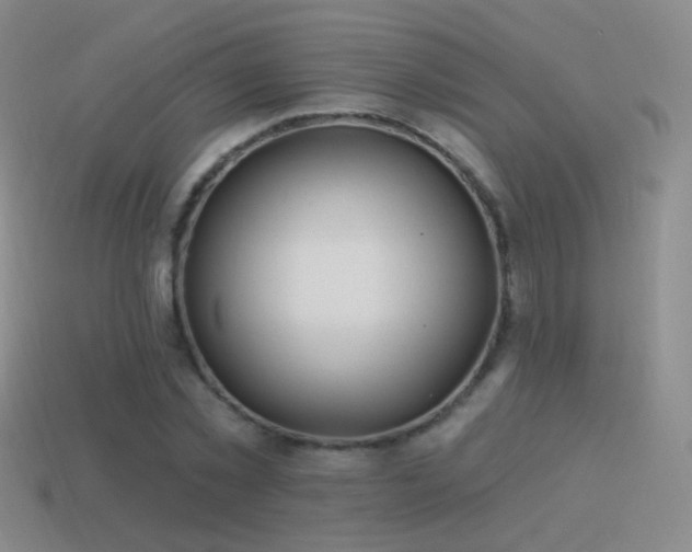 X0000114510781200910191132