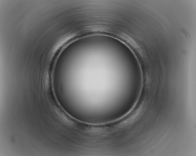 X0000114510782200910191132